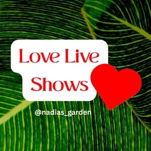 Like to be notified when going Live